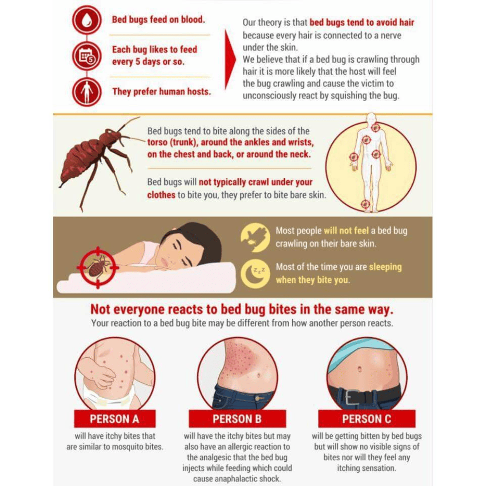 Waterproof Bed Bug Protector - Mattress Protectors